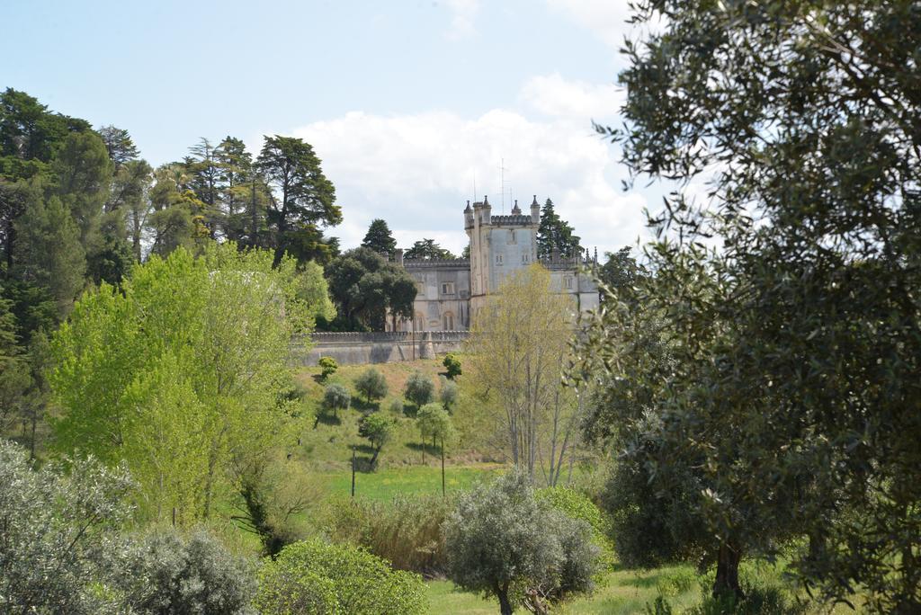 Hôtel Solar Romantico Anno 1850 Al à Torres Novas Extérieur photo